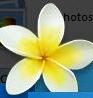 Avanquest Photo Explosion Deluxe 5װ̳(к)