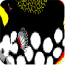 sqliteݿSQLite Expert Proװ̳(ƽⲹ)