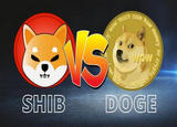 ʲôSHIBң SHIB͹Ϊʲô