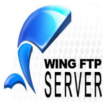 FTPWing FTP Server Corporate6.3ҵװ̳(ƽⲹ)