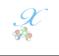 ﻯѧaminoXpress 7װ̳(ע)