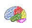 ѵbrainworkshop 4ƽ̳(ע)