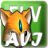 flvתavi flvתaviʽת̳()